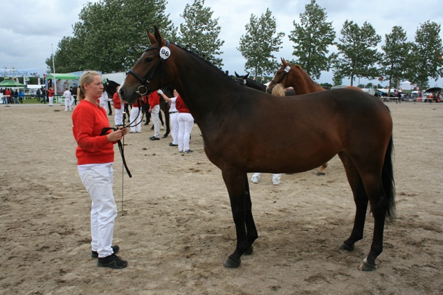 Ktl. 86, Østerhjelms Labell 208333OL0901151 - 21 p. - tilh. Irina Nielsen, Spjald